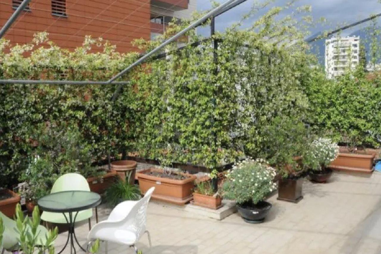 Hotel Serenity 티라나 외부 사진